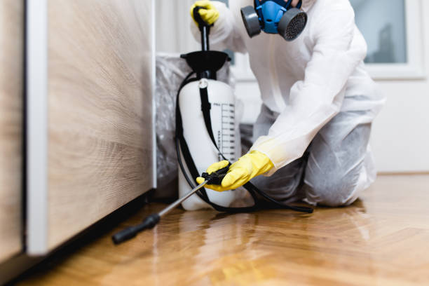 Best Flea Control Services  in Daphne, AL