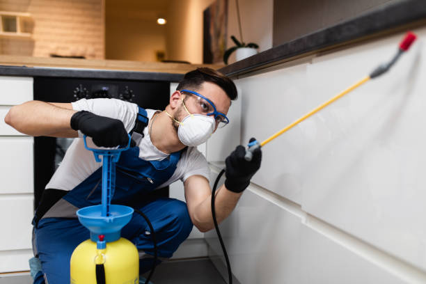Best Best Pest Control Companies  in Daphne, AL