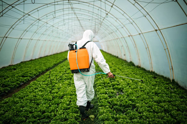 Best Residential Pest Control  in Daphne, AL