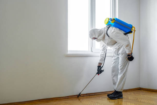 Best Wildlife Control Services  in Daphne, AL