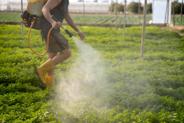 Best Local Pest Control Services  in Daphne, AL