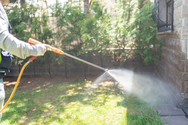 Best Pest Removal Services  in Daphne, AL