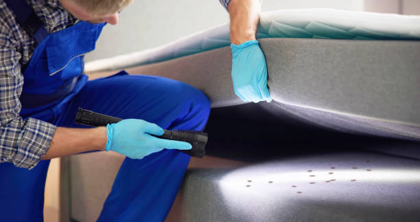 Best Exterminator Services  in Daphne, AL