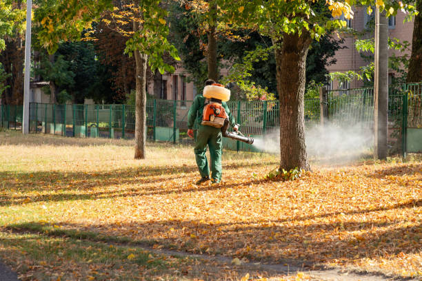 Best Mosquito Control Services  in Daphne, AL
