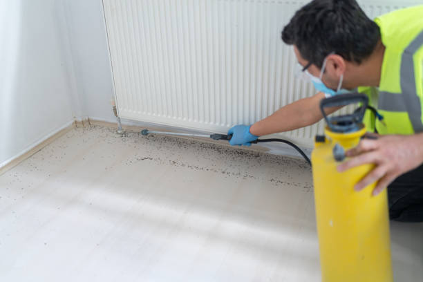Pest Control Cost in Daphne, AL