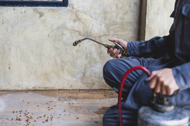 Best Wasp Removal Services  in Daphne, AL